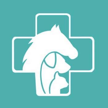 centro veterinario pinheiro manso